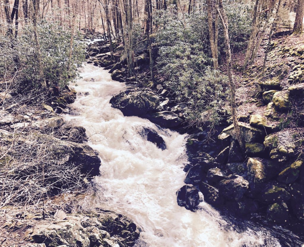 Creek after springtime downpour, outside Great Smoky Mountains National Park, Lyndsey Gilpin 